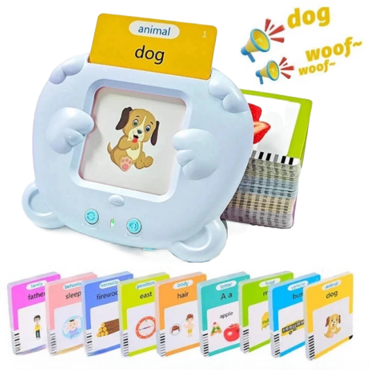 English Flashcards Toy